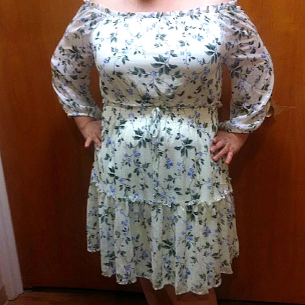 Ryan Michelle dress Size XL boho floral cottage summer